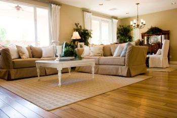 Area rug cleaning in Cornville by Premier Carpet Cleaning