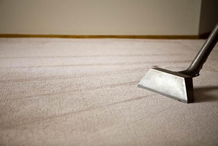 Steam Cleaning by Premier Carpet Cleaning