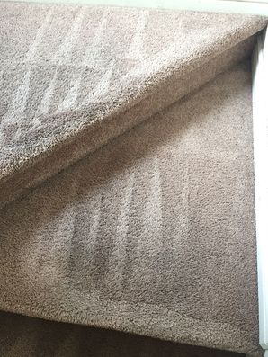 Carpet cleaning in Rimrock by Premier Carpet Cleaning