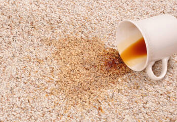 Carpet stain removal by Premier Carpet Cleaning