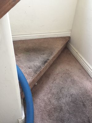 Before & After Carpet Cleaning in Flagstaff, AZ (3)